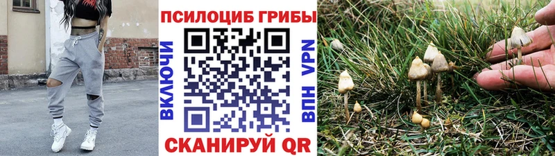Галлюциногенные грибы Psilocybine cubensis  OMG ссылки  Полярный 